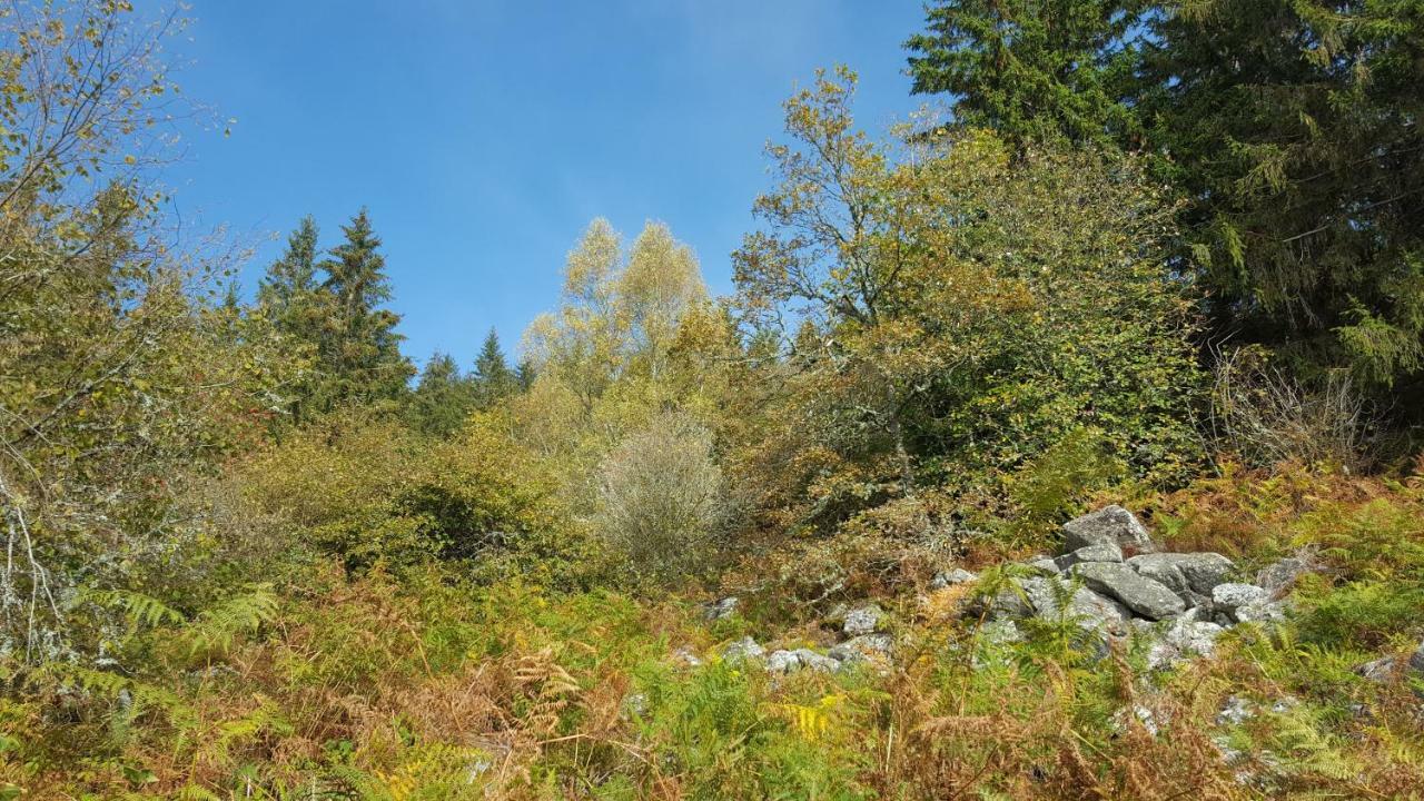 Gite De Sauviat 25 Chemin Du Grand Pacher Le Bourg De Sauviat 63120 Eksteriør billede