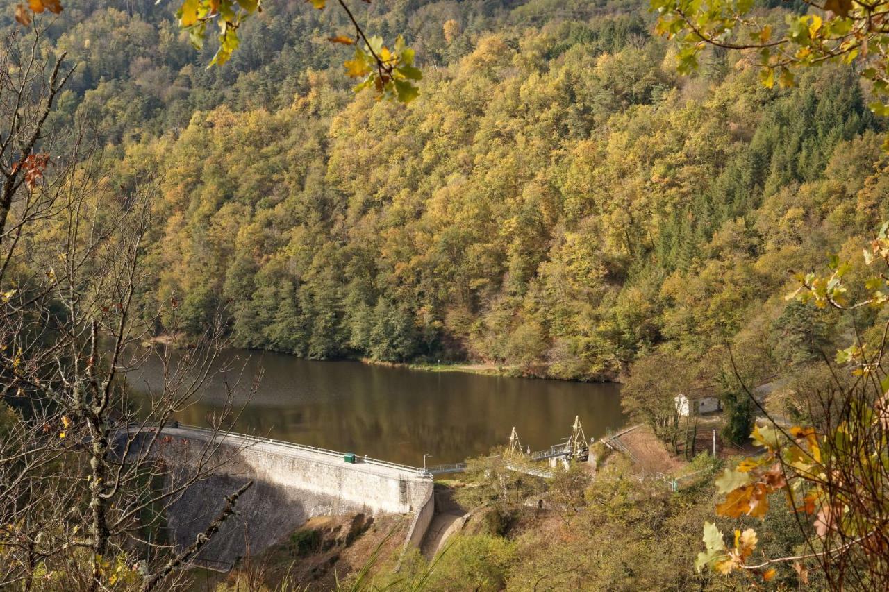 Gite De Sauviat 25 Chemin Du Grand Pacher Le Bourg De Sauviat 63120 Eksteriør billede